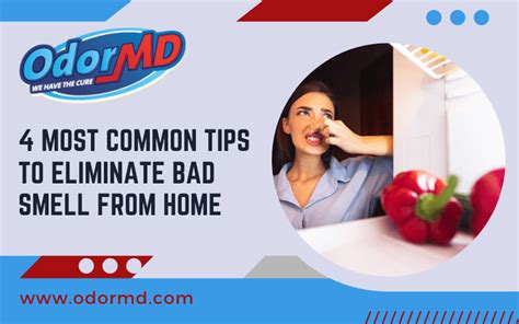 4 Most Common Tips To Eliminate Bad Smell From Home