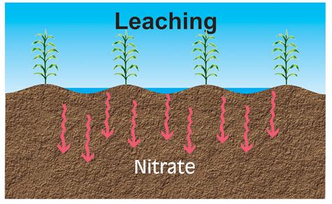 Nitrogen Dynamics Unl Water