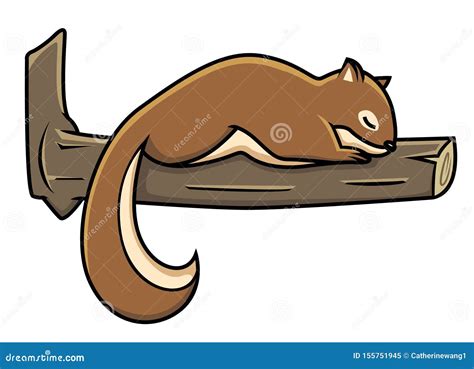 Squirrel Sleeping On A Tree Vector Illustration Cartoondealer Com