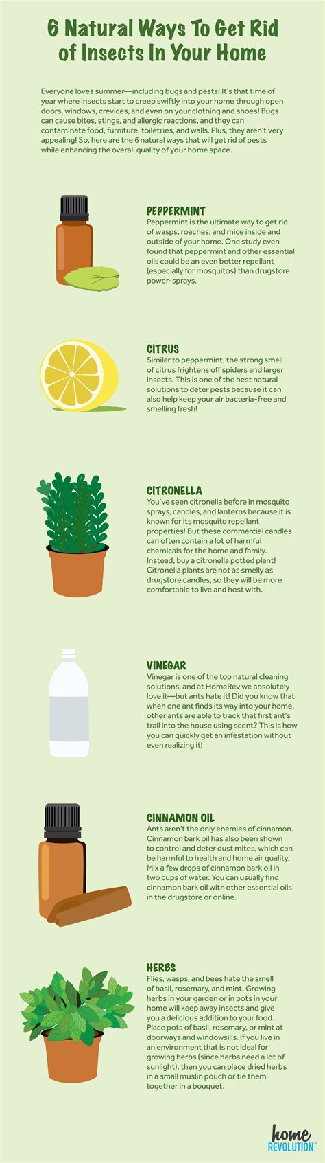 Neem oil sprays kill small insect pests and mites by suffocation as do horticultural oil sprays, but also has some. 6 Natural Ways To Get Rid of Insects In Your Home ...