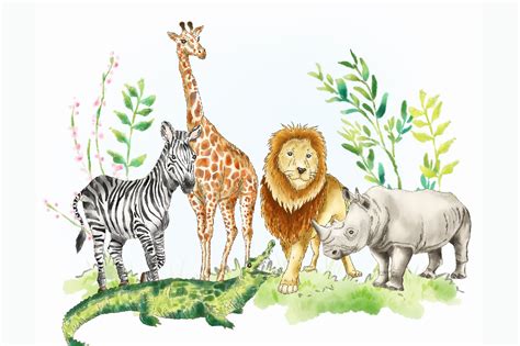 Safari Jungle African Animal Clipart Custom Designed Illustrations