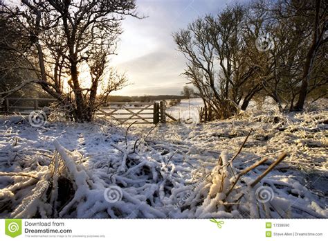 Winter Morning In The Yorkshire Dales England Stock