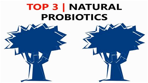 top  natural probiotic foods probiotics youtube