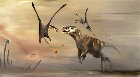 New Species Of Large Sized Pterosaur Unearthed In Scotland Scinews