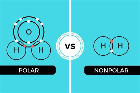Polar And Nonpolar Covalent Bonds Characteristics And Differences