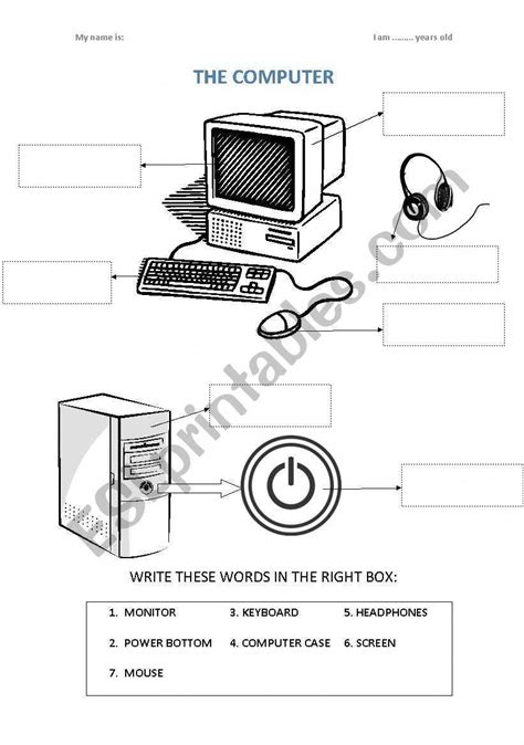 Computer Worksheet For Kindergarten