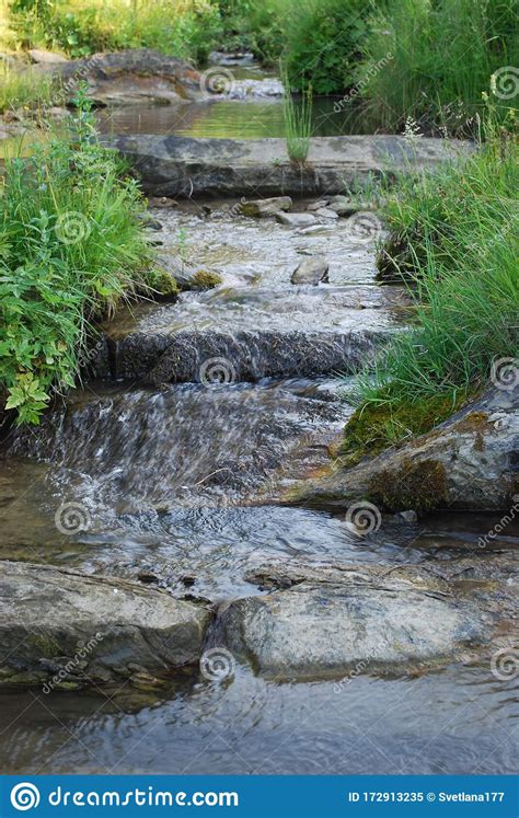 Mountain Stream Amid Tall And Dense Green Grass Stock Image Image Of