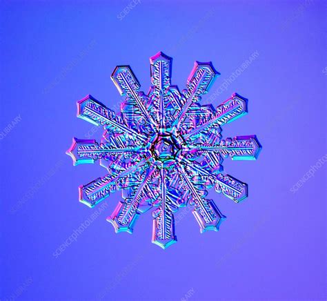 Double Snowflake Stock Image C0302631 Science Photo Library