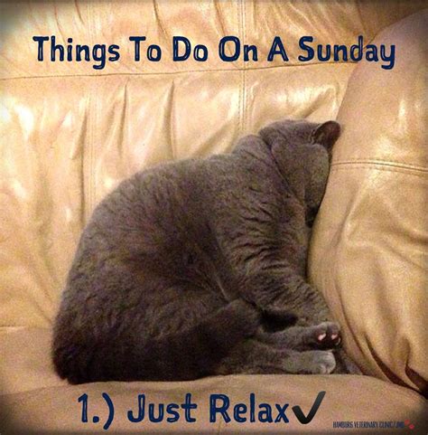 Sunday Funday Wishing You A Wonderful Relaxing Sunday