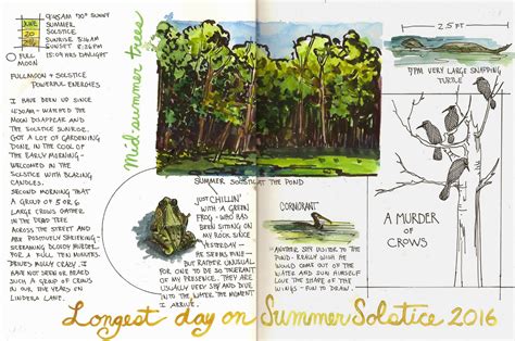 Jan Blencowes Sketchbook Hypothesis 7 Steps To Creating A Nature