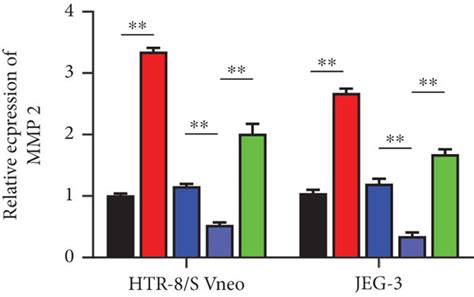 Mir 155 Knockdown Inhibited Inflammation Apoptosis And Oxidative