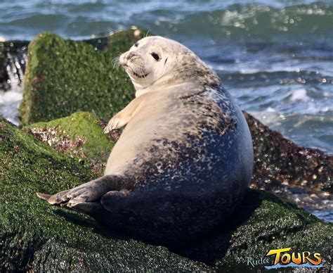 RUDEE TOURS (Virginia Beach): 2023 - tutto quello che c'è da sapere