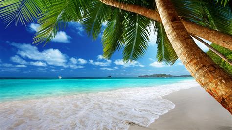 tropical beach paradise k ultra hd desktop wallpaper my xxx hot girl