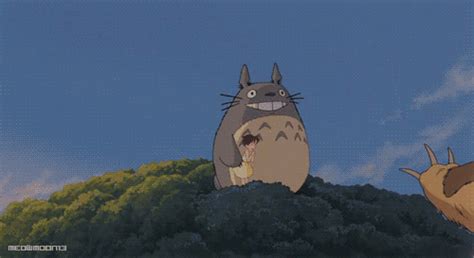 My Neighbor Totoro Wiki Anime Amino