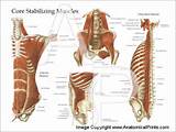 Images of Minor Core Muscles