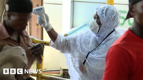 Coronavirus In Africa Has Covid Disappeared From Tanzania Bbc News