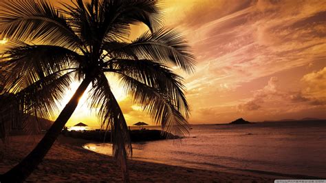 ❤ get the best sunset beach wallpaper on wallpaperset. Tropical Beach Sunset Ultra HD Desktop Background ...