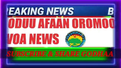 Oduu Afaan Oromoo Voa News Youtube