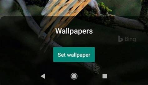 How To Set Bings Daily Photos As Wallpaper On Android