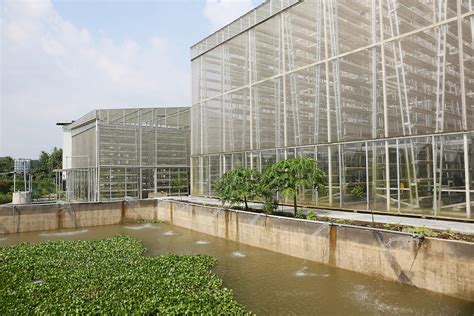 Sky Greens Vertical Farming Agriculture Singapore South East Asia