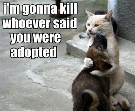 Memes to Make You Smile (36 pics) - Izismile.com 6 tiktok pranks to pull on your s.o.