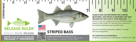 Striped Bass Release Ruler