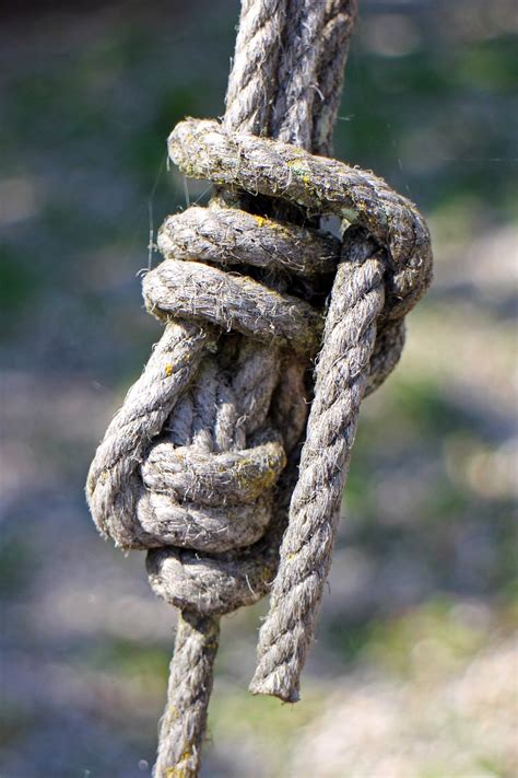 Knot Rope Fixing Free Photo On Pixabay