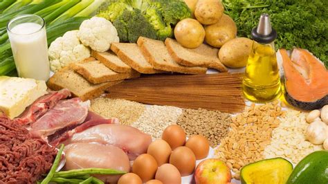 What Are Carbohydrates Proteins Lipids And Fibre Good For Travels