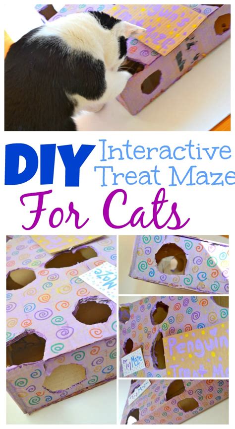 Diy Interactive Treat Maze For Cats Miss Frugal Mommy
