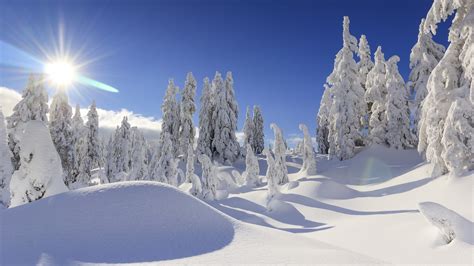 Winter Snow Wallpaper 4k  1280x720 Download Hd Wallpaper