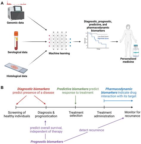 Frontiers Integrating Molecular Biomarker Inputs Into Development And