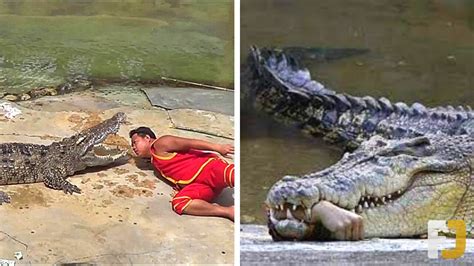 10 Scariest Crocodile Attacks Caught On Camera Youtube