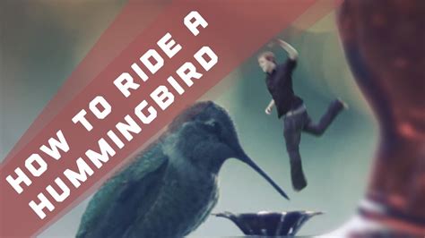 How To Ride A Hummingbird Youtube