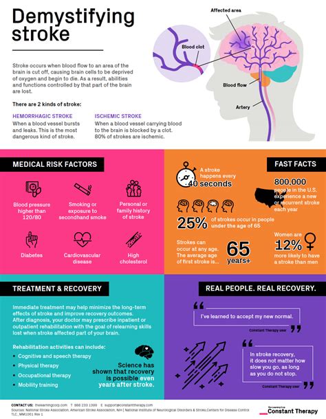 Demystifying Stroke Infographic Explains The Basics The Learning Corp