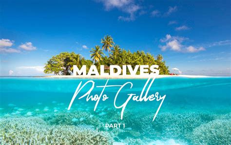 Maldives Photo Gallery 80 Beautiful Photos Of The Maldives Islands