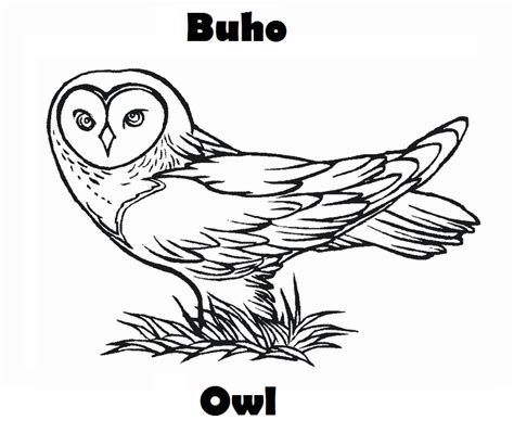 Dibujos para colorear de animales aereos - Imagui
