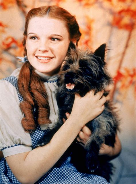 Wizard Of Oz Stills Classic Movies Photo 19565928 Fanpop