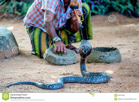 Juegos Del Encantador De Serpiente Con La Cobra India Foto De Archivo