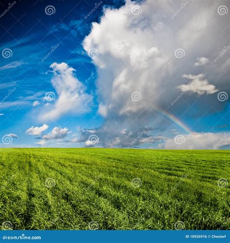 Blue Skies Above Green Field Stock Photo Image Of Natural Colorful