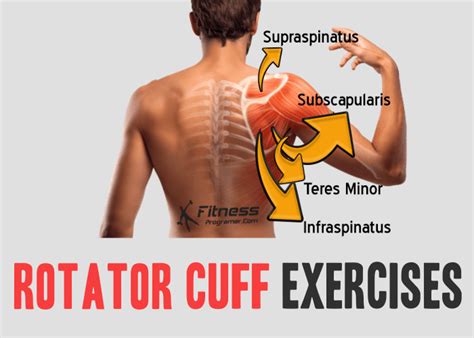 Best Rotator Cuff Exercises Workout Planner