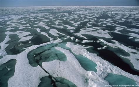 Interesting Facts About The Arctic Ocean Just Fun Facts