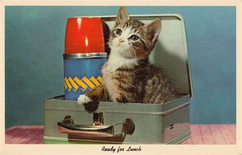 Postcard Paper Poster Advertising Vintage Retro Antique Cat G Wallpaper