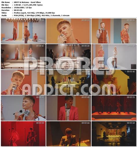 Hrvy Matoma Good Vibes Prores Addict The Music Video Collector