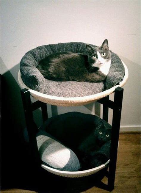 Double Cat Beds
