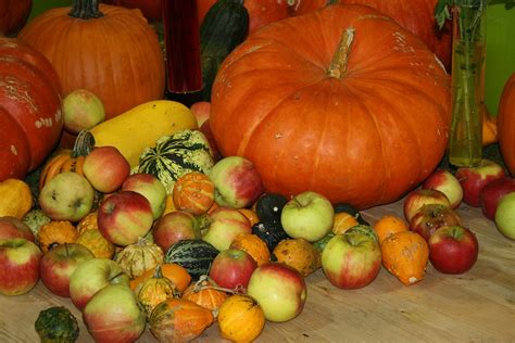 Free Photo Thanksgiving Pumpkin Apple Free Image On Pixabay 482245