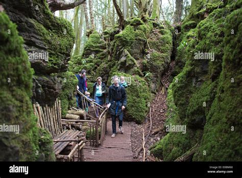 Puzzlewood Forest Of Dean Gloucestershire England Uk Stock Photo