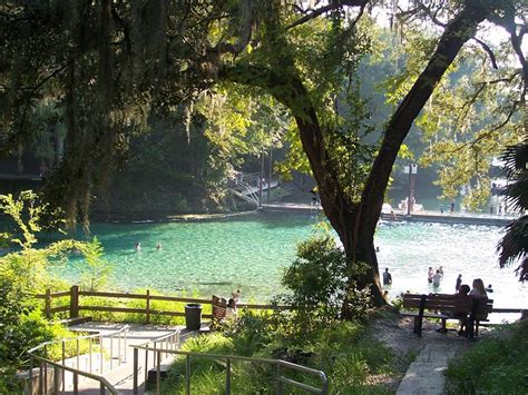 10 Epic Summer Swimming Holes In Florida Natural Springs