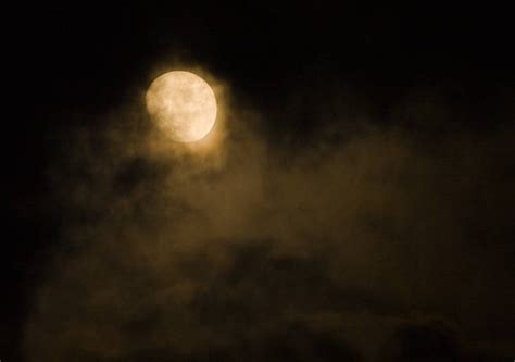Best Spooky Moon Stock Photos Pictures And Royalty Free Images Istock