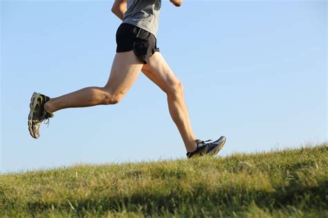 What Muscles Does Running Work Your Leg Muscles Is The Key