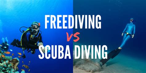 Freediving Vs Skin Diving Memugaa
